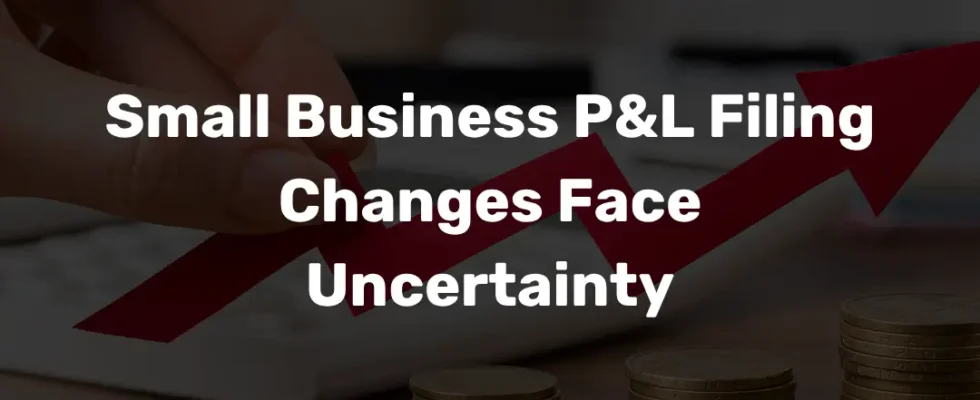 Small Business P&L Filing Changes Face Uncertainty